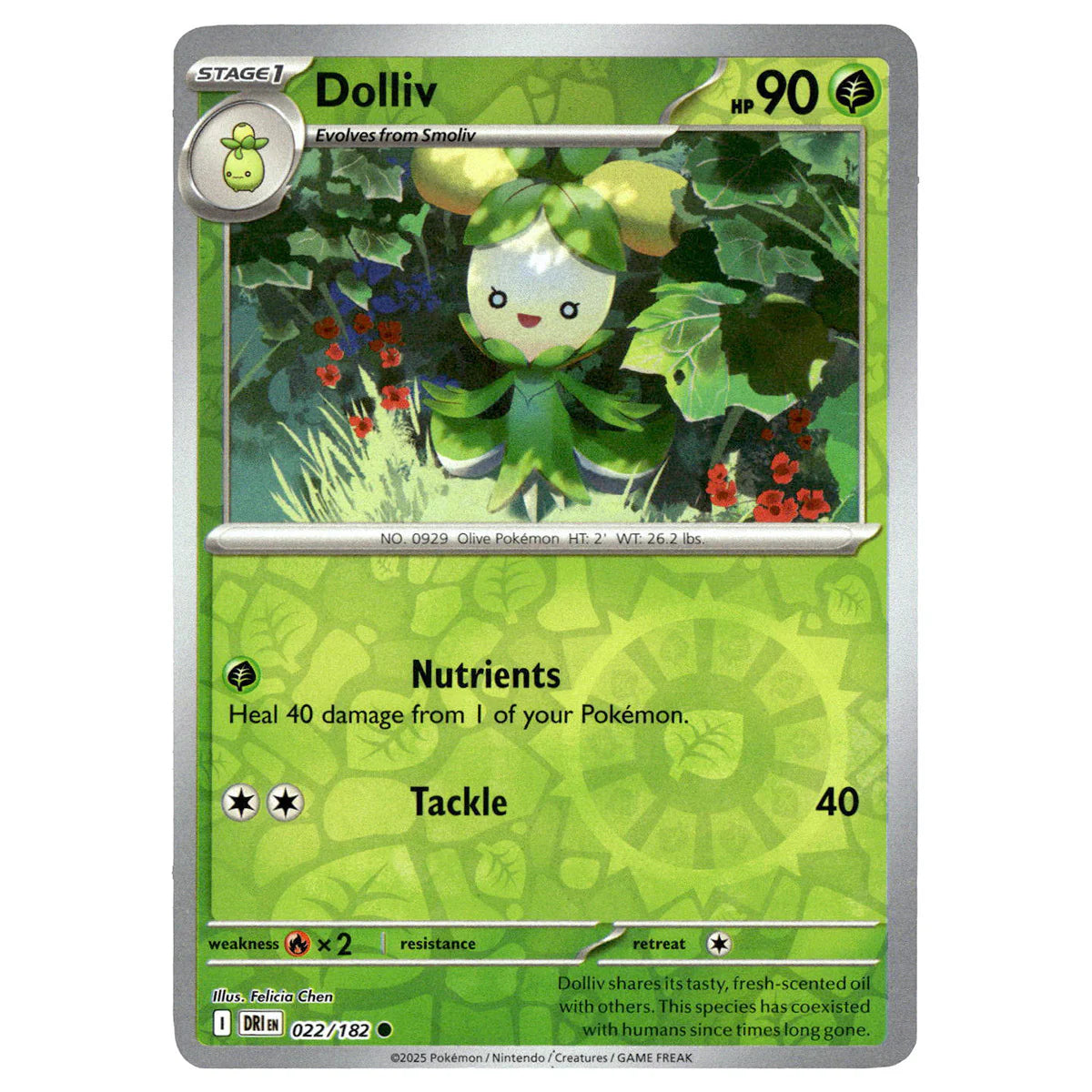 Dolliv Reverse Holo 022/182