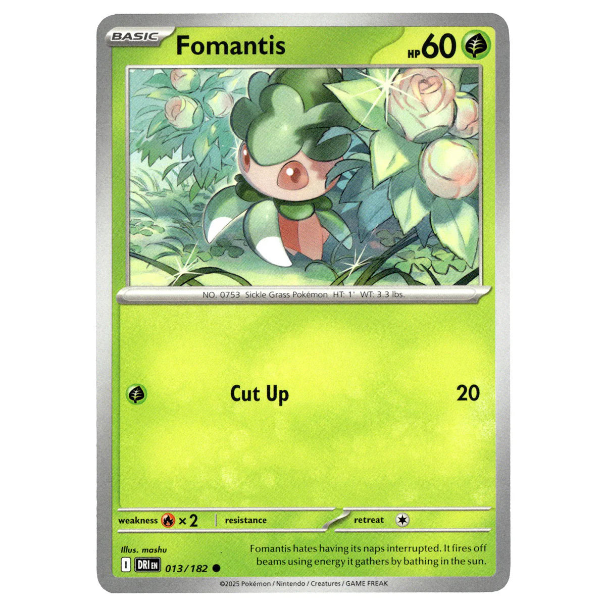 Fomantis 013/182